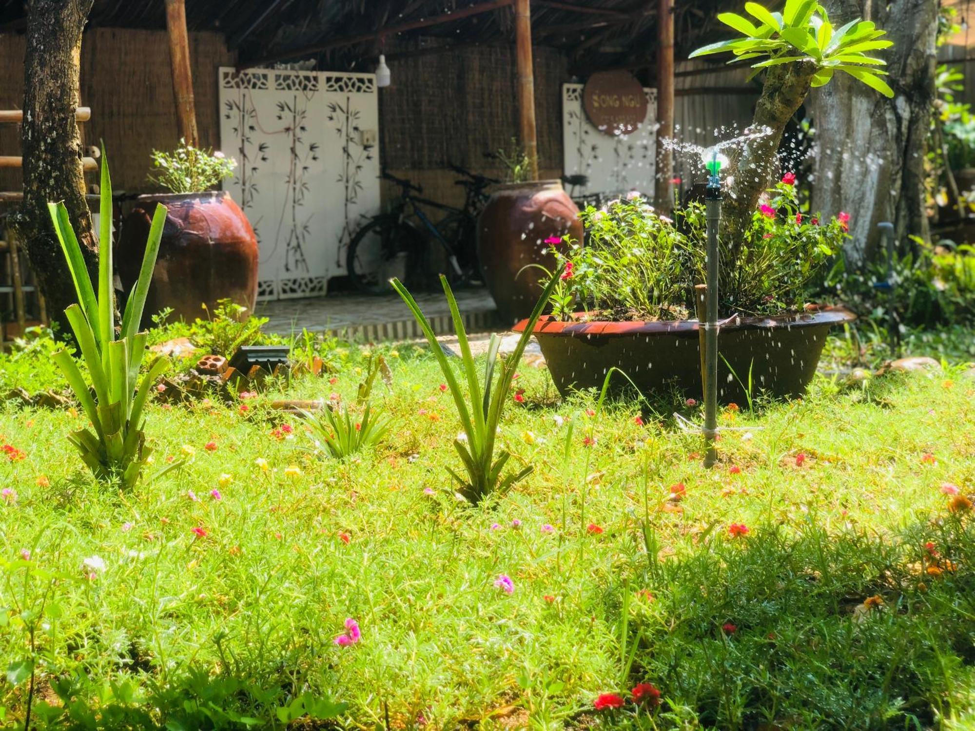 Song Ngu Pisces Homestay كان ثو المظهر الخارجي الصورة